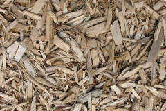 biomass boilers Rowley